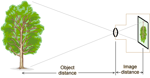 What Is Focal Length and How to Use It - 42West